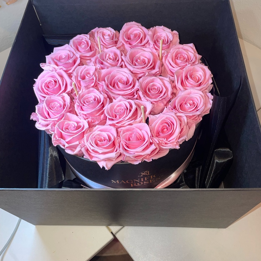 Pink Forever Roses